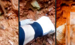 Funny Video - Schönes Steinchen ausbuddeln