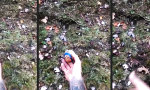 Movie : Wenn Flash mit dir Ball spielt
