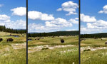 Funny Video : Wenn man der Natur auf die Pelle rückt