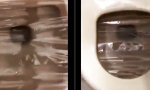 Funny Video : Cooler Trick...