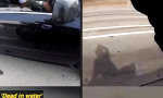 Lustiges Video - Coole, aber riskante Aktion