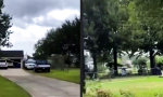 Lustiges Video : Im Prinzip ist das Dach jetzt sturmsicher