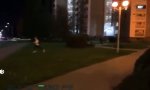 Movie : Taxifahrer nimmt seinen Job ernst