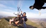 Funny Video - Wenn der Geier Hallo sagt