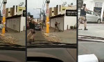 Funny Video : Seine Moves immer im richtigen Moment zeigen