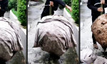 Funny Video : Mit Sicherheitssandalen kein Problem!