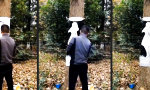 Lustiges Video - Der transparente Baum