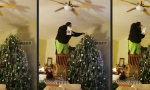 Vadder schmückt den Weihnachtsbaum