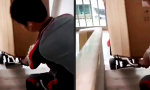 Funny Video - Der beste Freund des Möbelpackers