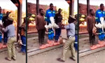 Lustiges Video : Siegerehrung mit Naturpreisen