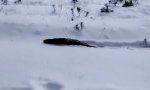 Funny Video - Gechillt durch den Schnee schwimmen