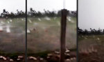 Funny Video : Harter Beschuss von oben