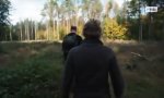 Funny Video : Die gef... Walnussbäume