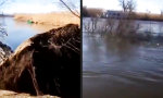 Movie : Wenn man dem Baum zu viel Wasser gibt