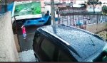 Lustiges Video : Instinkthafte Müllabfuhr