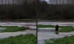 Movie : Schnell noch baden gehen