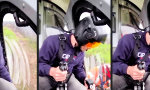 Funny Video : Cooler Job