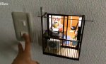 Lustiges Video - Kleines Apartment