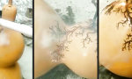 Lustiges Video : Spannende Fraktalkunst