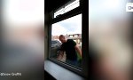 Lustiges Video : Kunst ohne Durchblick
