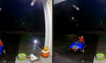 Lustiges Video : Effizientes Halloween
