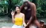 Funny Video : Für jede was dabei