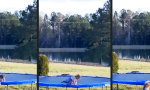 Funny Video : Wahre Geschwisterliebe