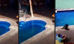 Lustiges Video - Urlaubsegozentriker