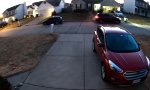 Funny Video : Im Haus geirrt
