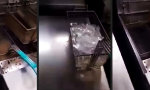 Funny Video : Fettiger Abschiedsgruß