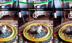 Funny Video - Jeder lebt in seiner kleinen Blase