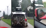 Funny Video : Das riecht nach Winter
