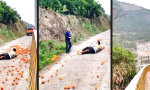 Lustiges Video : Apfelsinen-Murmelbahn