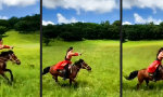 Funny Video : Mulan reitet weiter
