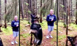 Funny Video : Ein Spiel für echte Männer
