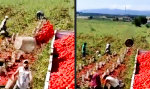 Funny Video - Hat den Drall raus