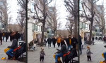 Lustiges Video : Den Rhythmus im jungen Blut