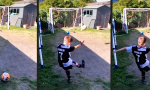 Funny Video - Das Runde muss ins Eckige