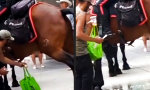 Funny Video : Zaubertrank beschaffen