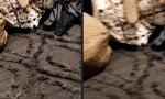 Funny Video - Indognito auf Lauer