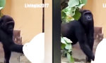 Movie : Kein Ort für’s heimliche Naschen