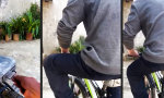 Funny Video : Technik, die begeistert