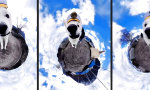 Funny Video - Little Big Doggy Planet