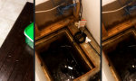 Funny Video : Hier wird Korn gepumpt