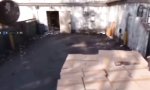 Movie : Unauffällige Gestalt annehmen