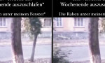 Von den Raben geweckt