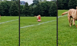 Lustiges Video : Mehr Ballgefühl als die Kreisliga