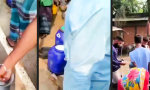 Lustiges Video : Shake Hands mit der Milchkuh: Indische Qualitätsoffensive