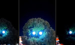 Funny Video : Der Baum, der dich durchleuchtet