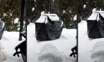 Funny Video - Gut getarnt in seinem Element